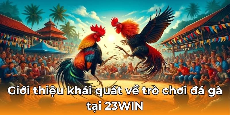 Giới thiệu khái quát về trò chơi đá gà tại 23WIN